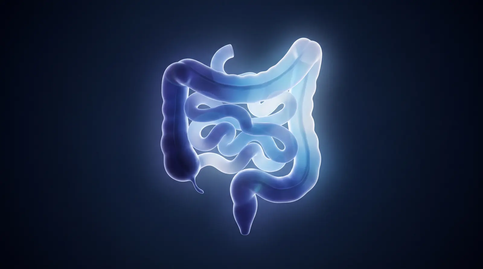 Abstract cinematic illustration of the human colon
