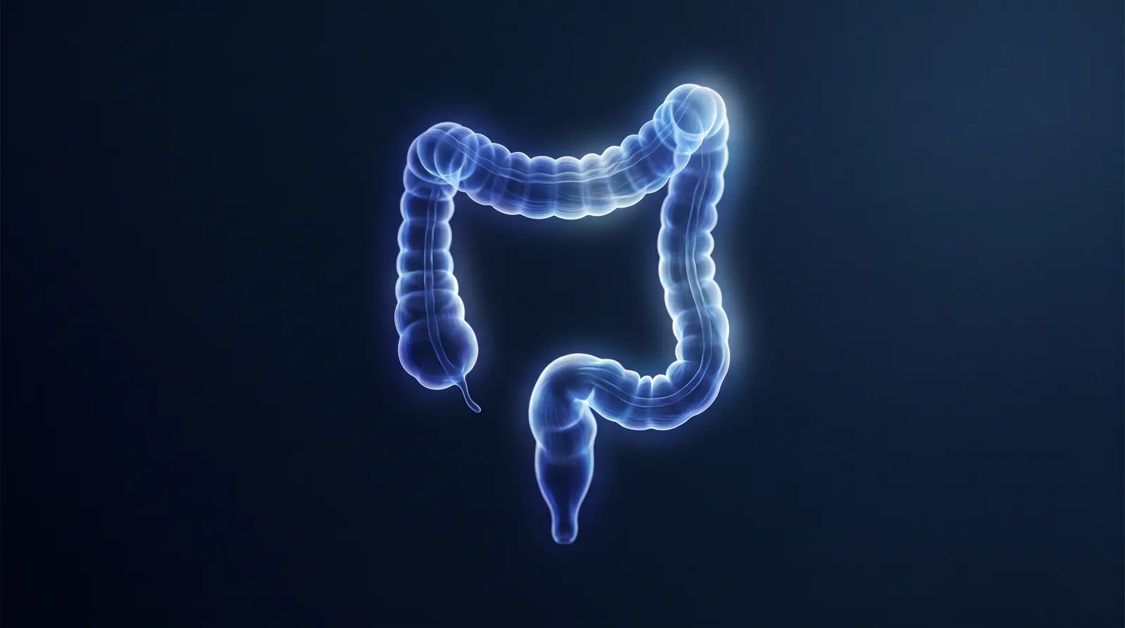 Abstract cinematic illustration of the human colon and rectum