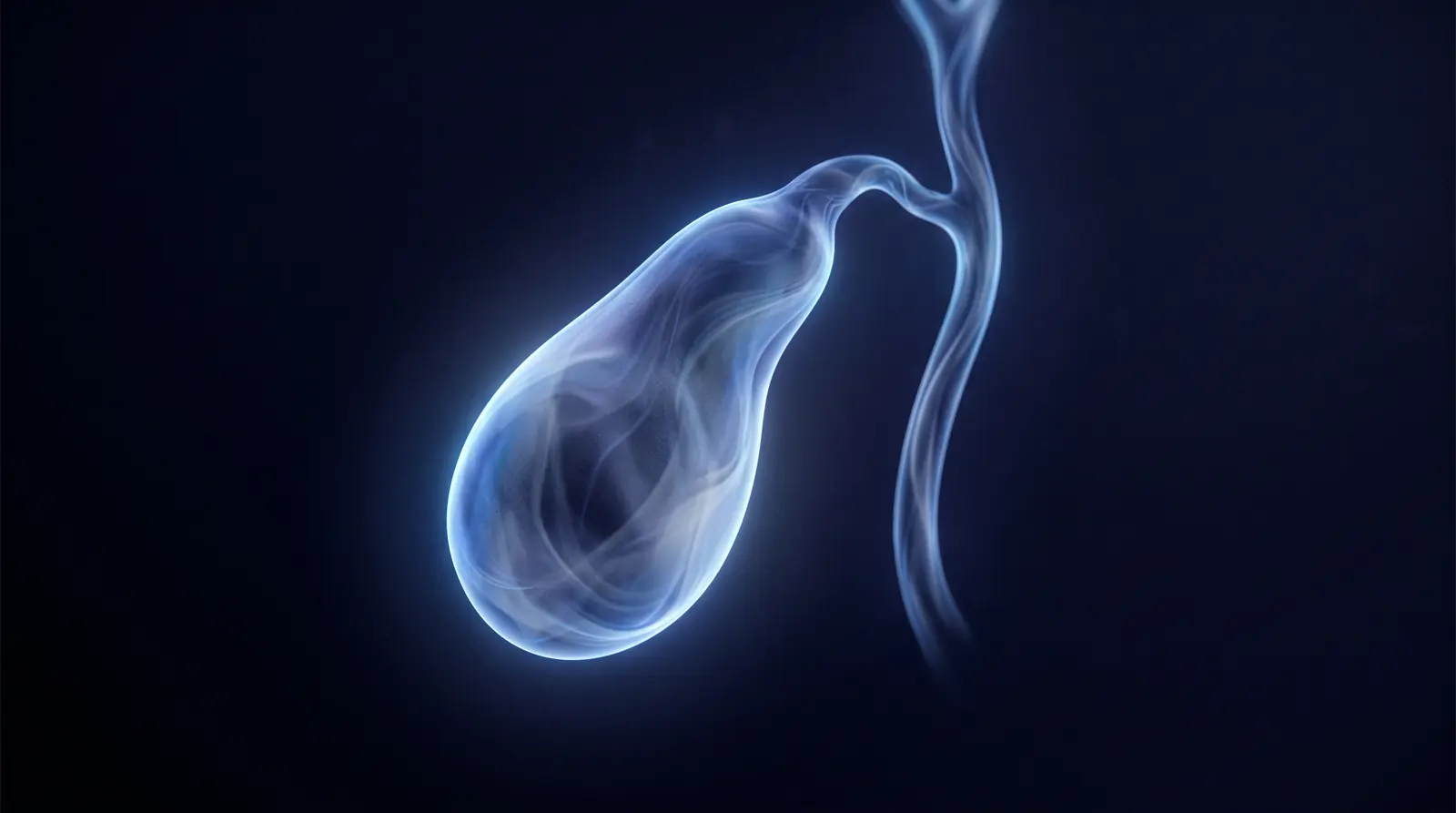 Abstract cinematic illustration of the human gallbladder
