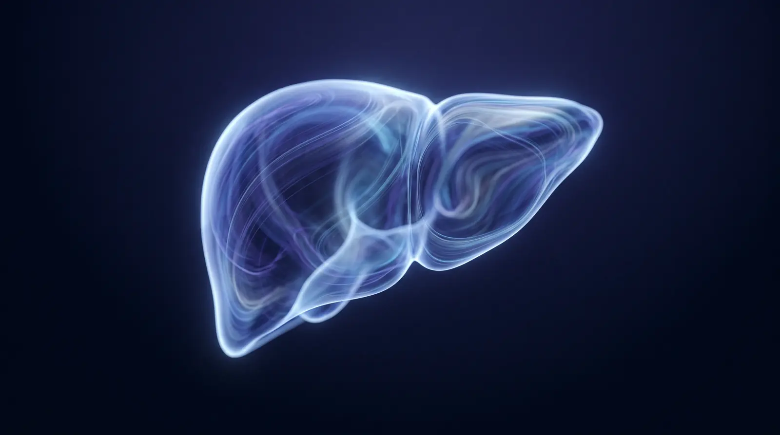 Abstract cinematic illustration of the human liver