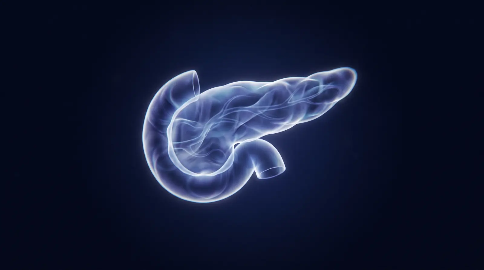 Abstract cinematic illustration of the human pancreas