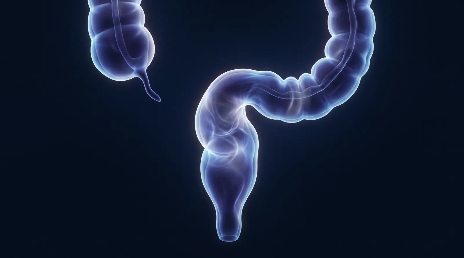 Abstract cinematic illustration of the human rectum