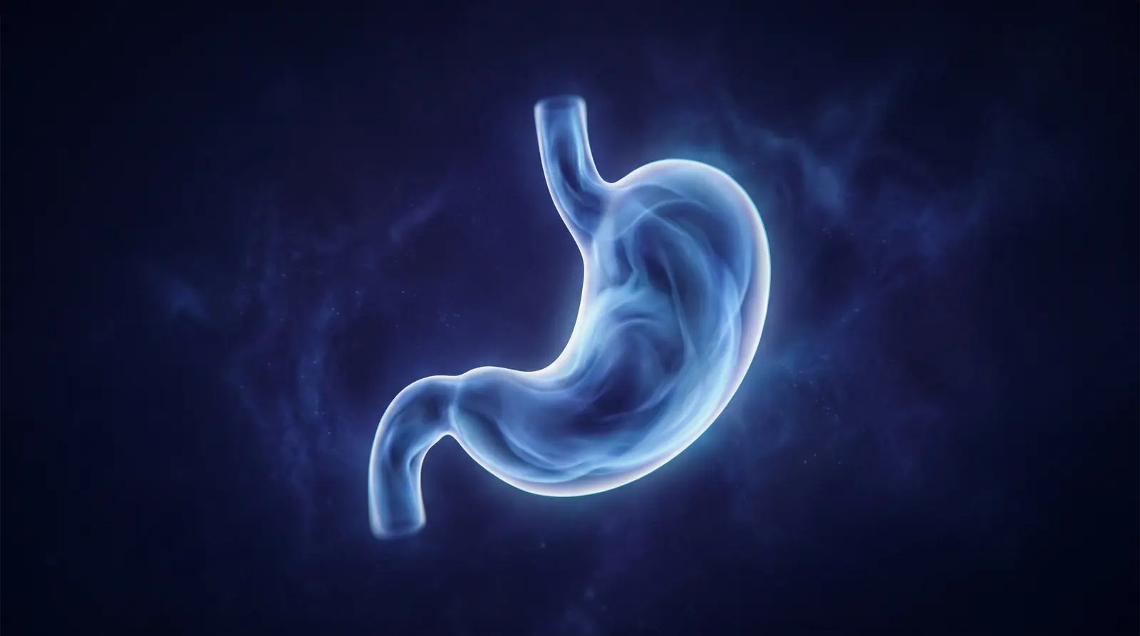 Abstract cinematic illustration of the human stomach